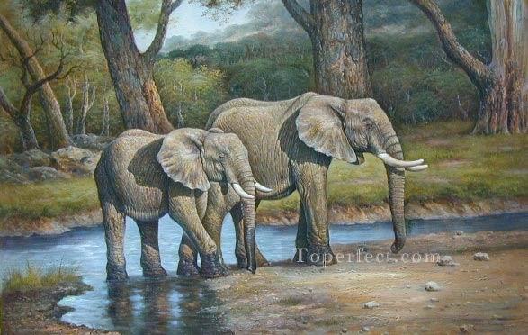 dw010dD éléphant animal Peintures à l'huile